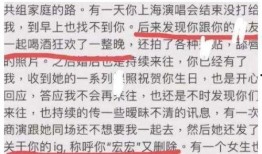 王力宏前妻爆料离婚风波视频全集,前妻爆料视频全解析
